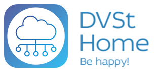 logo DVSt Home